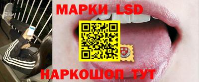 стаф Будённовск