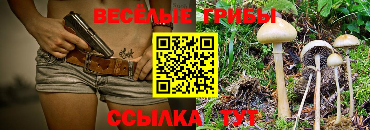 Псилоцибиновые грибы мухоморы Шатура